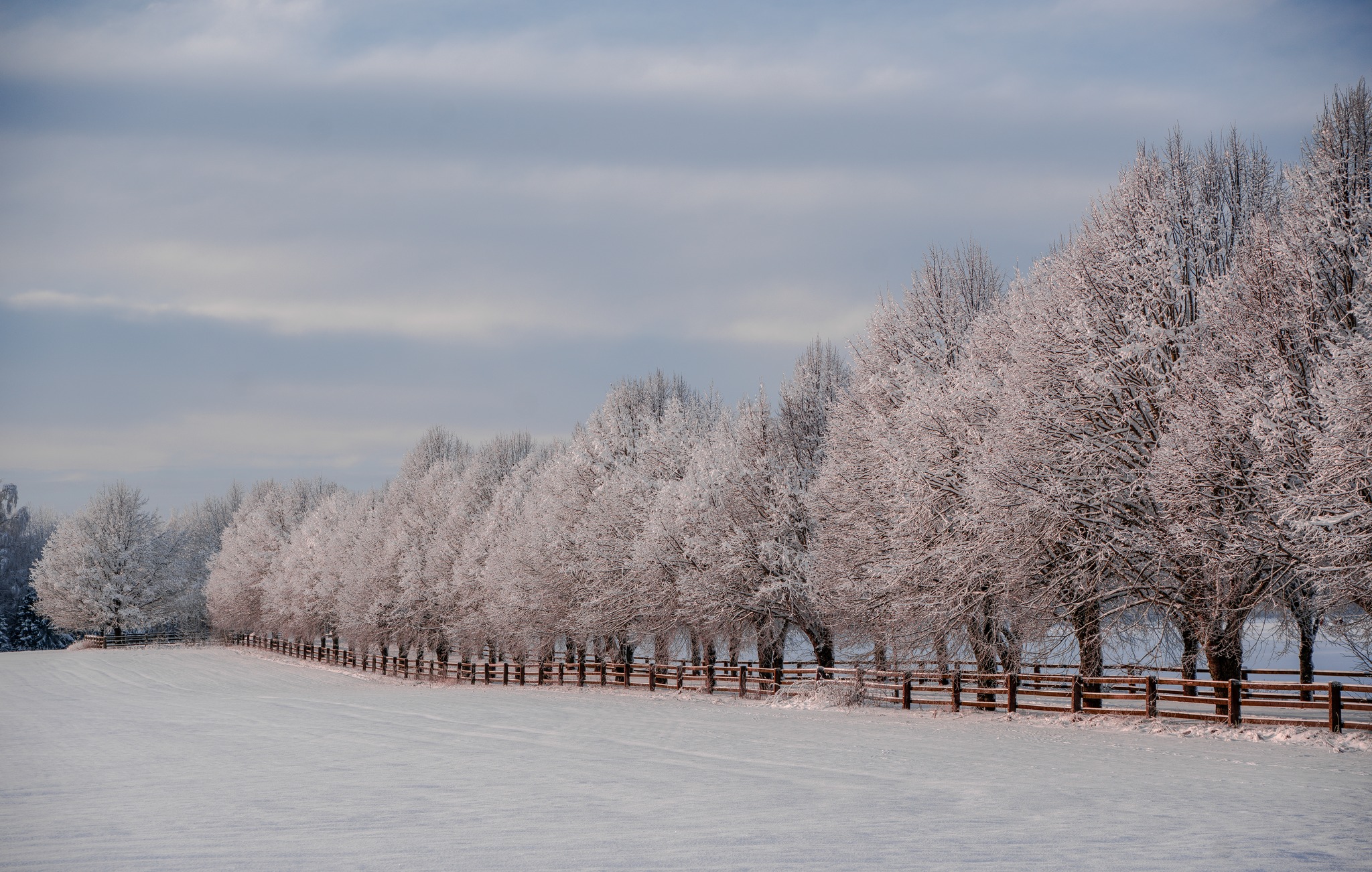 Miks Ma Valisin Gripivaktsiini: Minu Lood