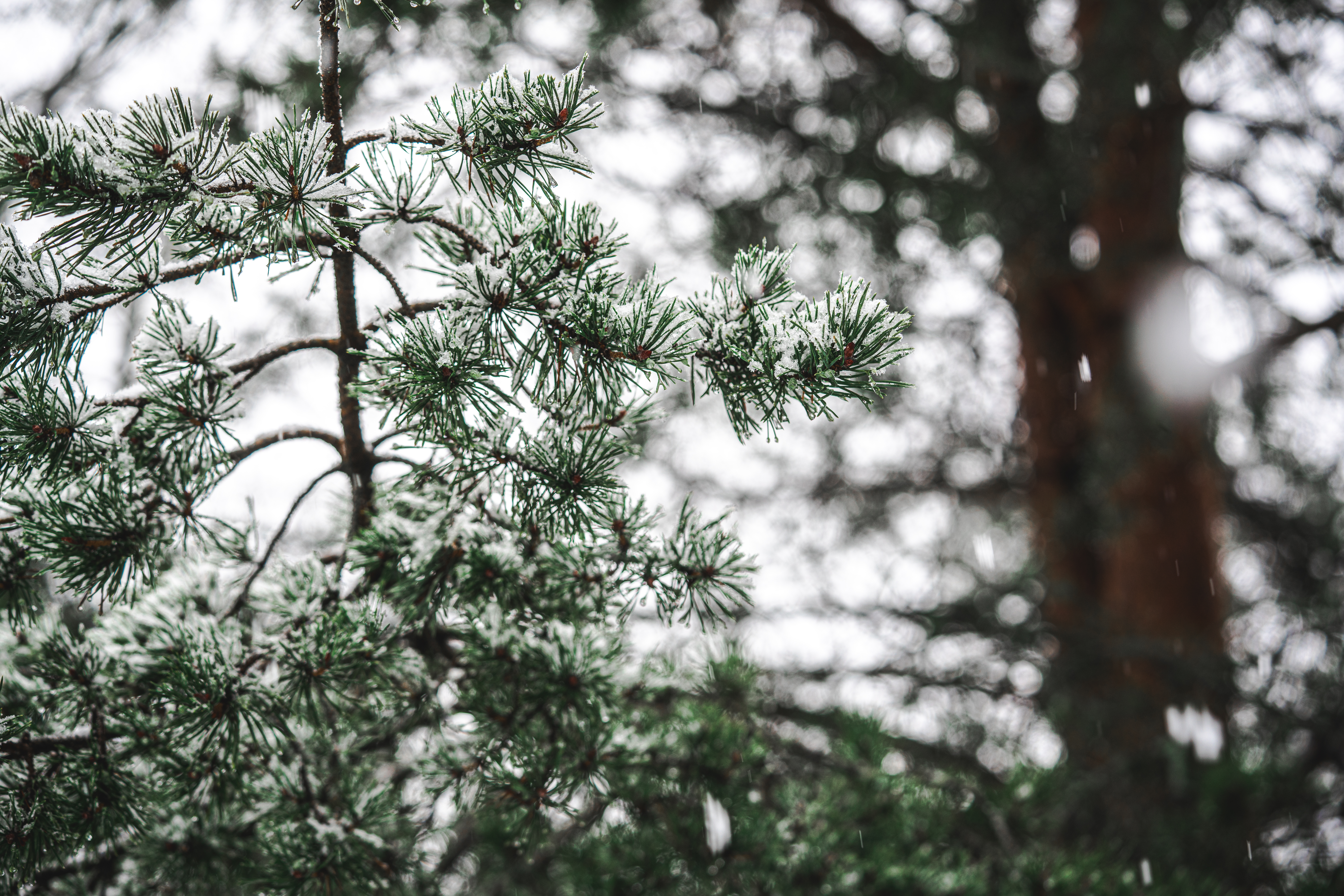 Päris hirmutav on oma mõtetega üksinda olla